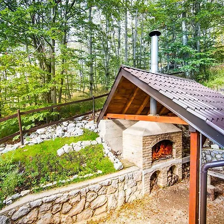 Villa Vila Platak *