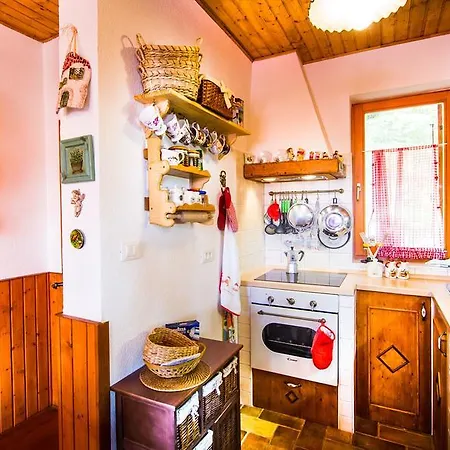 Vila Platak Vila *