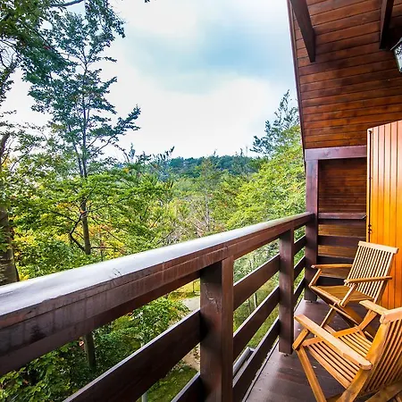 Vila Platak Villa *