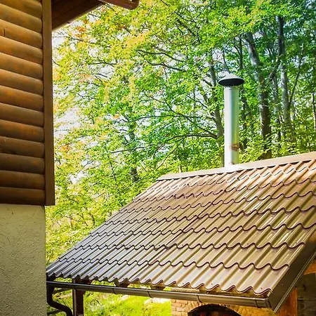 Villa Vila Platak Rijeka