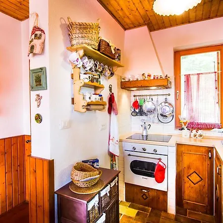 Vila Platak Villa *